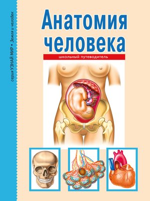 cover image of Анатомия человека